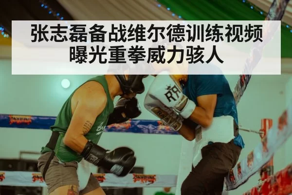 张志磊备战维尔德训练视频曝光重拳威力骇人