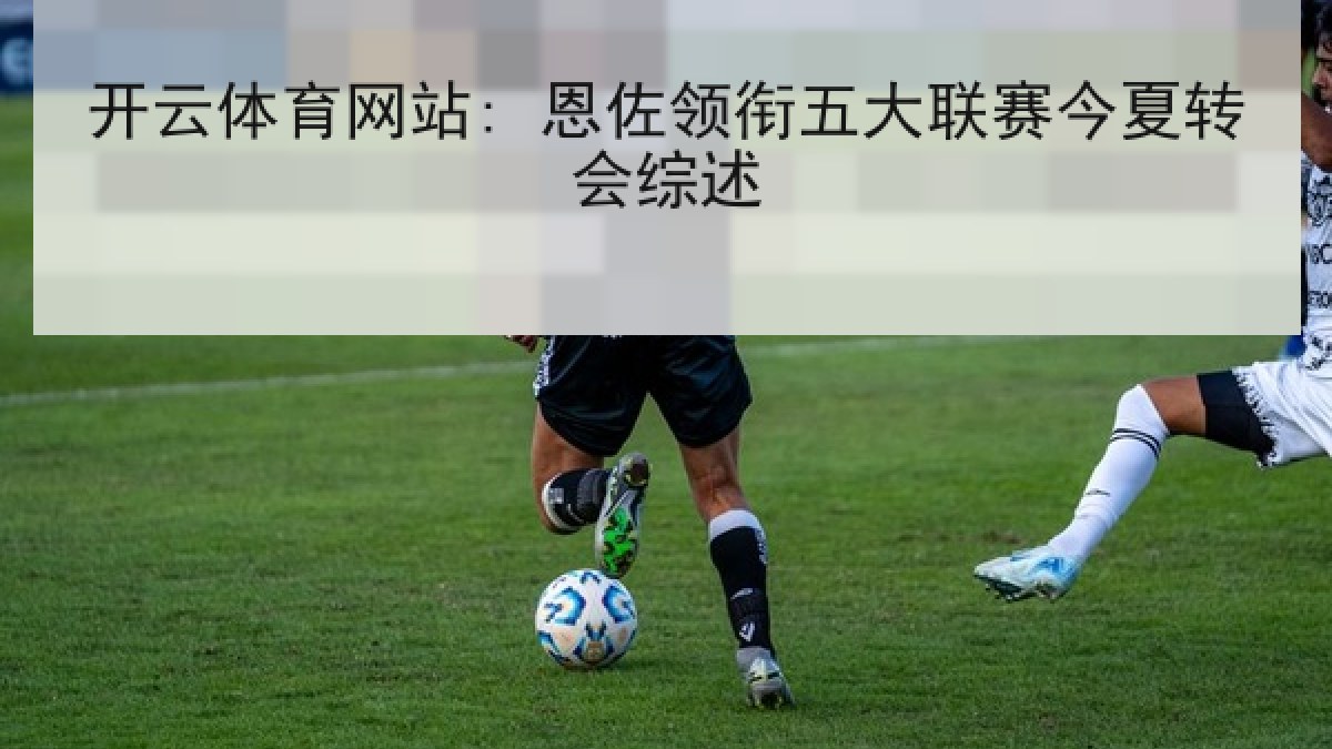 开云体育网站: 恩佐领衔五大联赛今夏转会综述