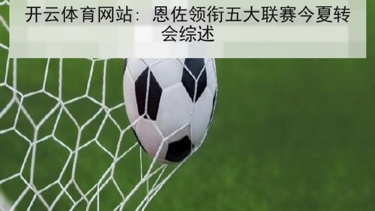 开云体育网站: 恩佐领衔五大联赛今夏转会综述